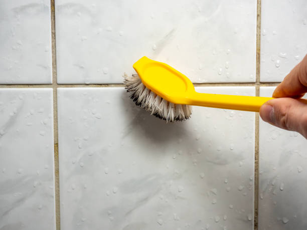 Best Commercial Mold Remediation in Boardman, OR