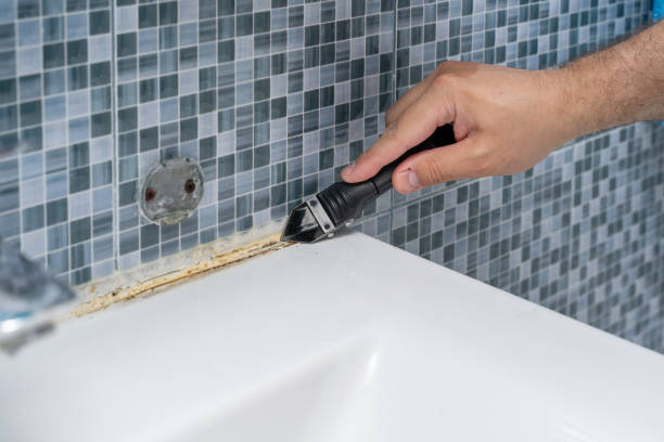 Best Insurance-Related Mold Remediation in Boardman, OR